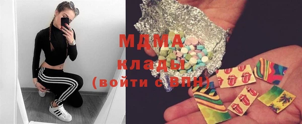 шишки Верея