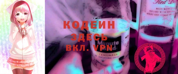 шишки Верея