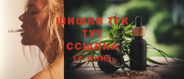 шишки Верея