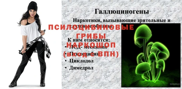 шишки Верея