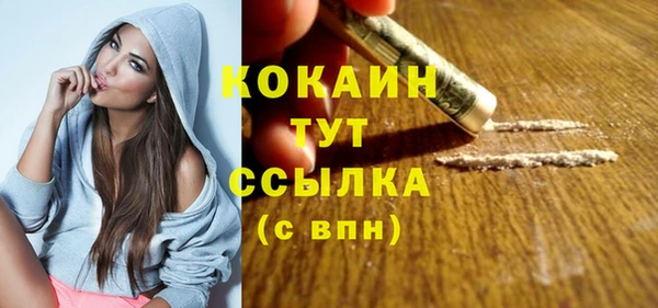 шишки Верея