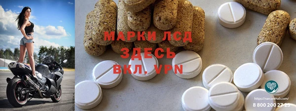 шишки Верея