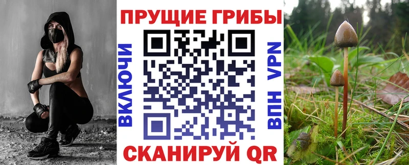 купить   Мытищи  Псилоцибиновые грибы MAGIC MUSHROOMS 
